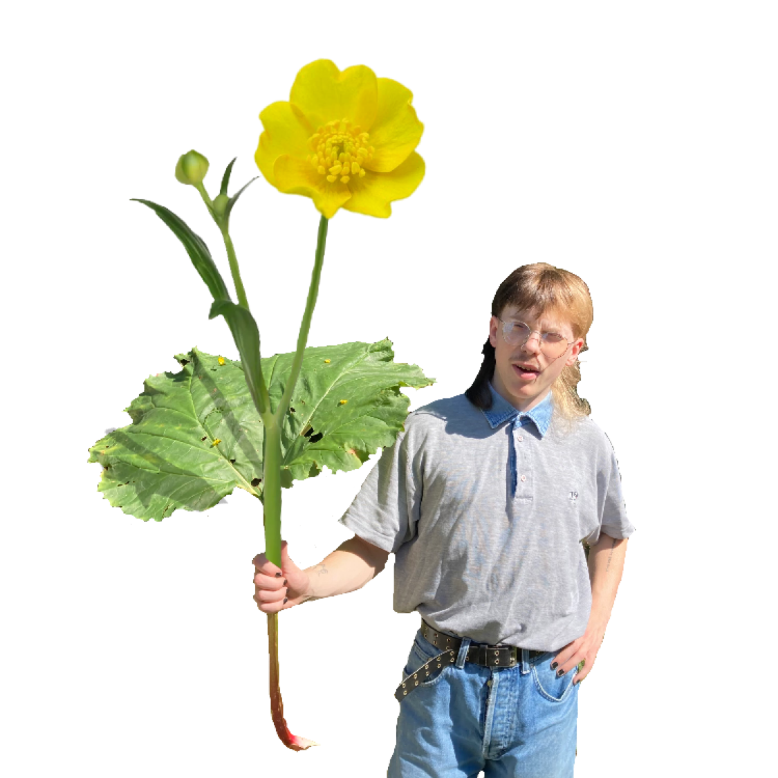 bigflower.PNG